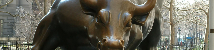 Wall Street Bull